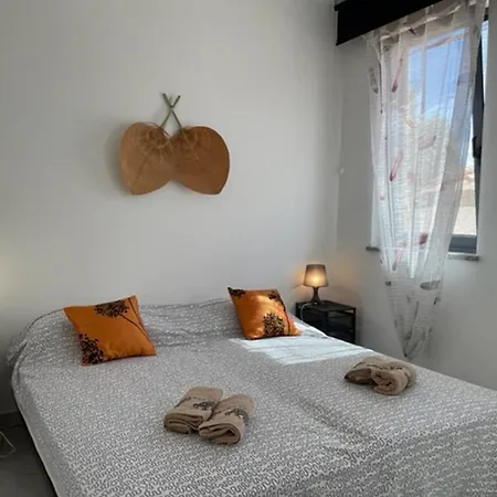Panous 2 * Rosini